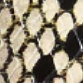 Boden Sandal in Natural Python-Embossed Leather with Silver Studs
